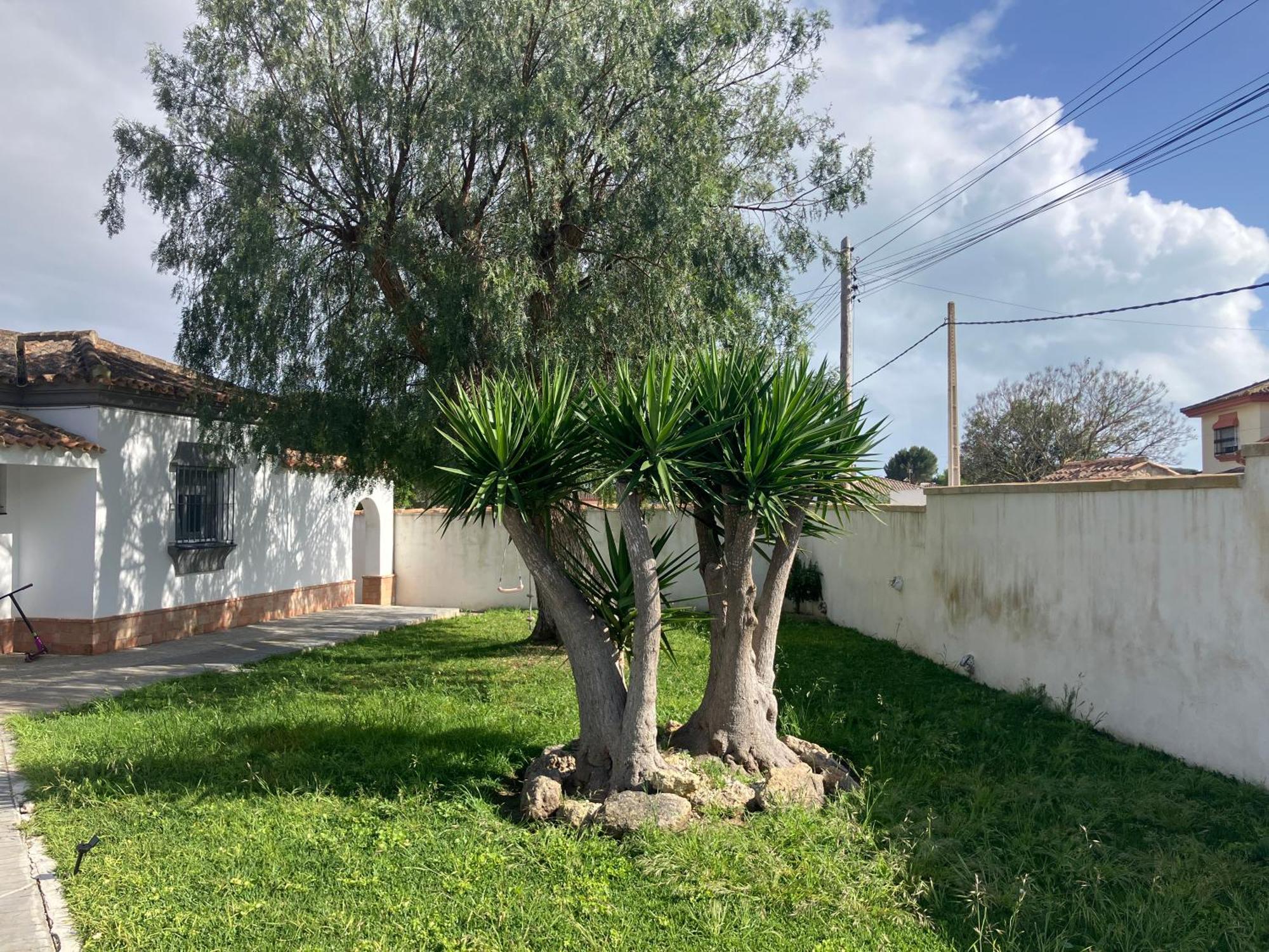 Chalet En Chiclana Ново-Санкті-Петрі Екстер'єр фото
